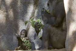 Its varying animal habitats include the Its varying animal habitats include the